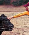 Heritage Cow Patch Hat