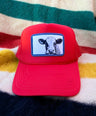 Heritage Cow Patch Hat